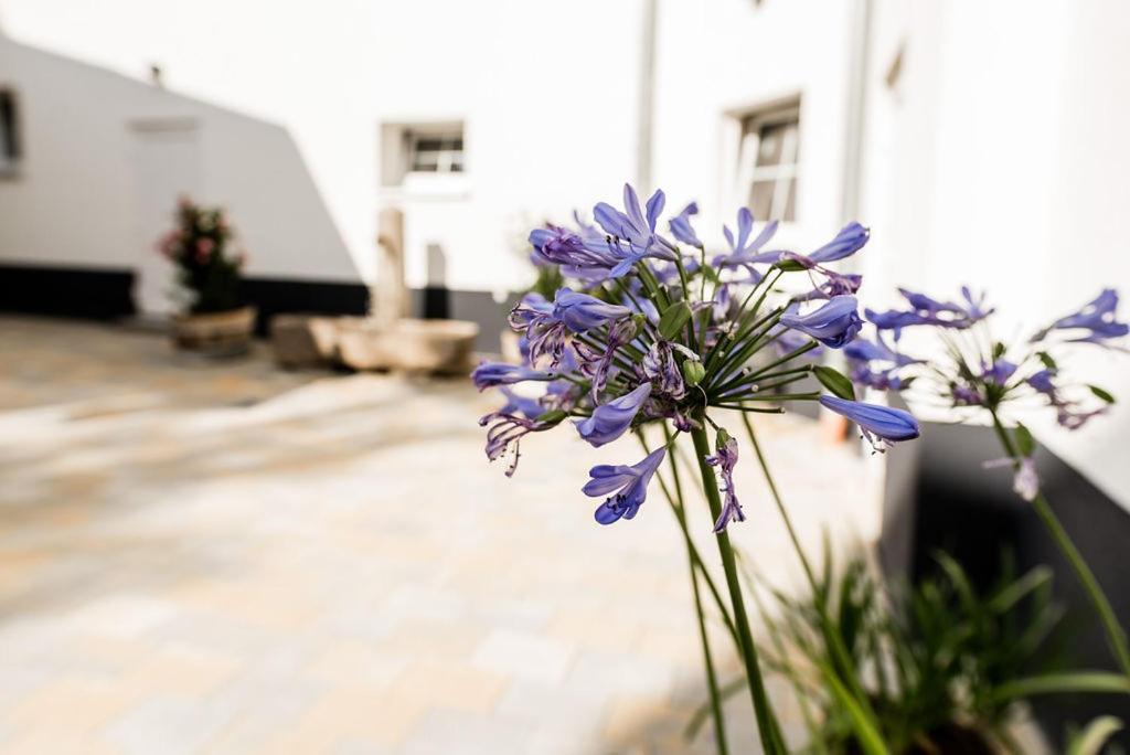 Rosenchalet Leinach Ngoại thất bức ảnh